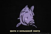 Наклейка на авто Карп Белая светоотражающая