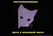 Наклейка на авто Кот Белая светоотражающая