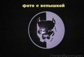 Наклейка на авто Питбуль Белая светоотражающая