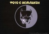 Наклейка на авто Питбуль большая Белая светоотражающая