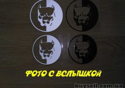 nakleyka_na_avto_pitbul_malenkaya-bolshaya_chernaya_belaya_svetootrazhayu_4050730
