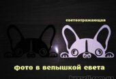 Наклейка на авто Сабачка светоотражающая Тюнинг авто