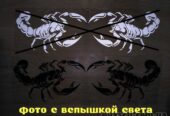 Наклейка на авто Скорпион Чёрная 2 шт