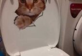 Наклейки котики номер 2 для детской комнаты