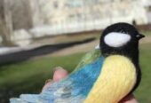 Брошка войлочна синичка птичка валяна з шерсті підвіска іграшка  пьах