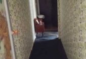 Продам квартиру 44 кв.м., 5/5,  ул.  Ген.  Петрова/Ивана и Юрия Лип.
