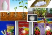 регуляторы роста растений