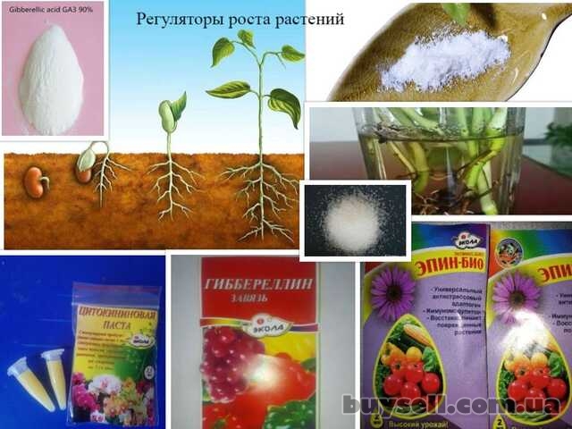 регуляторы роста растений