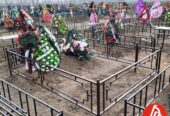Огорож на могилу.
