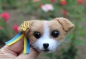 Пес Патрон брошь игрушка собака светлее валяная из шерсти ручной работ