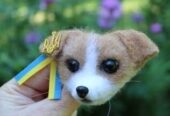 Пес Патрон брошь игрушка собака светлее валяная из шерсти ручной работ