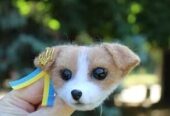 Пес Патрон брошь игрушка собака светлее валяная из шерсти ручной работ