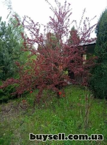 Продам великолепный дом на р.  Самара,  пос. Новоселовка.