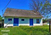 Продам дом с большим участком в Малой Сквирке.