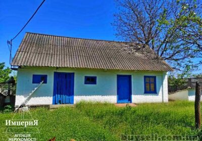 prodam_dom_s_bolshim_uchastkom_v_maloy_skvirke__4057031