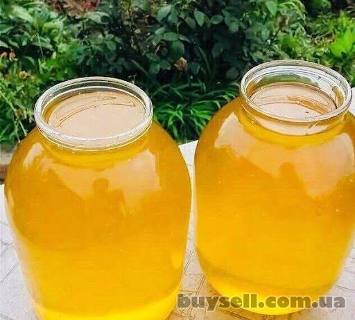 Продам свежий мёд со своей пасеки,  урожай 2023 года.  Разнотравье