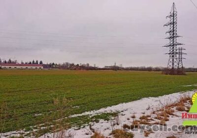 prodam_uchastok_3_05_gektara_na_kievskoy__4056941