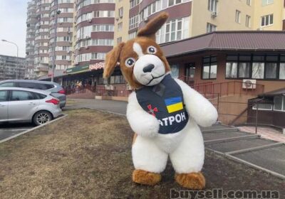 rostoviy_kostyum_pes_patron_4042624