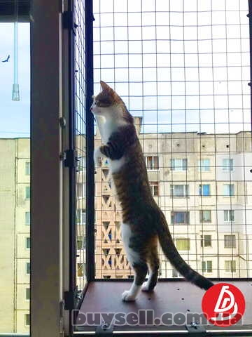 Съемная клетка на окно для кота.  "Броневик" Днепр.