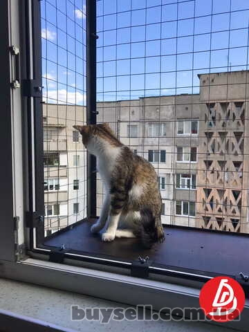 Съемная клетка на окно для кота.  "Броневик" Днепр.