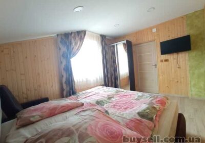 shodnica_nomera_lyuks_i_ekonom_klassa___4044196