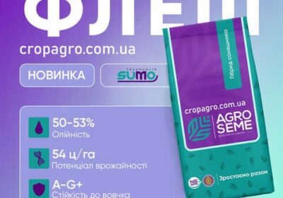 sinelnikovo-nasinnya_sonyashnika_flesh_pid_granstar_4035217