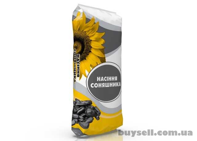 Стретч-пленка, скотч упаковочный, мешки бумажные для сыпучих продуктов