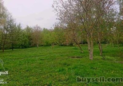uchastok_30_sotok_na_nizhnem_dnse_pervaya_liniya_ot_rechki__4056936