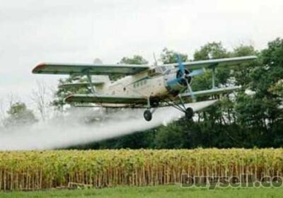 uslugi_po_desikacii_kukuruzy_i_podsolnechnika_samoletom_an-2_4047871
