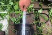 Вал первой передачи на драглайн ЭО-3211,  ( Э-302-2-0200-00А)