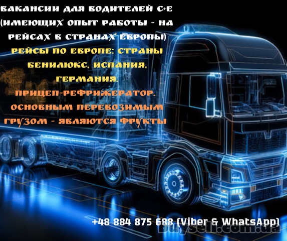 Водій рейсів міжнародних,  категорії С+Е (Польща)