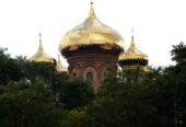 Власник.  Ділянка правильної прямокутної форми,  рельєф рівний.  Загал
