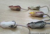 Воблер Мышка Незацепляйка на щуку с хвостиком