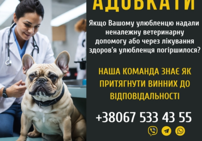 yuridichniy_zahist_vslanikiv_tvarin_4051515