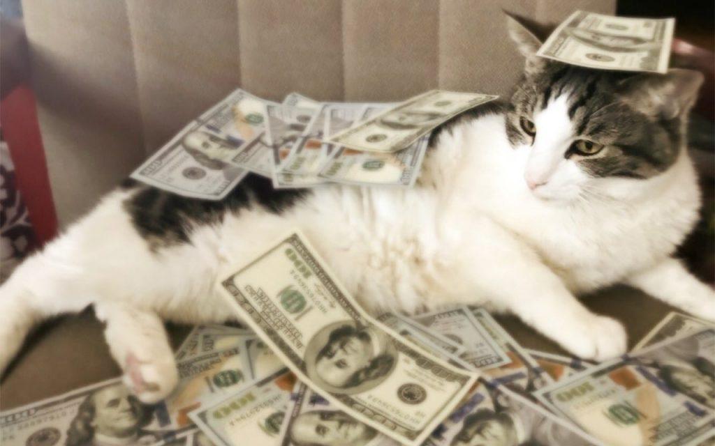 Все виды кредитов на разные цели/Усі види кредитів на різні цілі