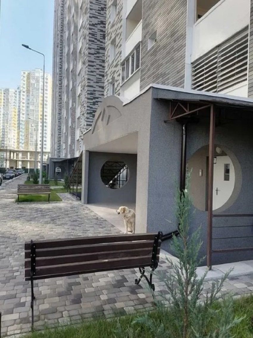 Продам нежилое помещение 75м Ревуцкого 54б 1э фасад без комиссии