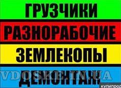 39730-7cd133cd732410bc603e4906d1ad58fd