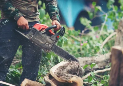 asian-man-cutting-trees-using-electrical-chainsaw_1150-5896