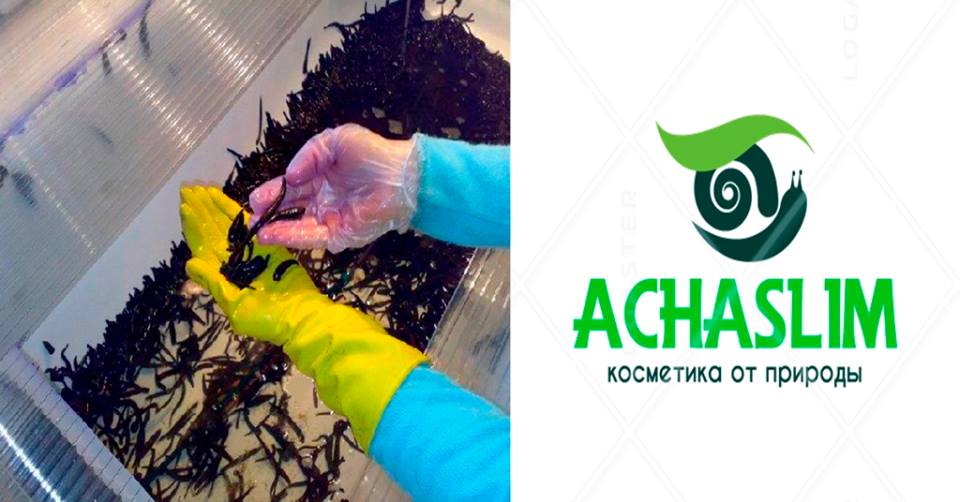 Как ускорить заживление ранок после мед. пиявок без образования шрамов