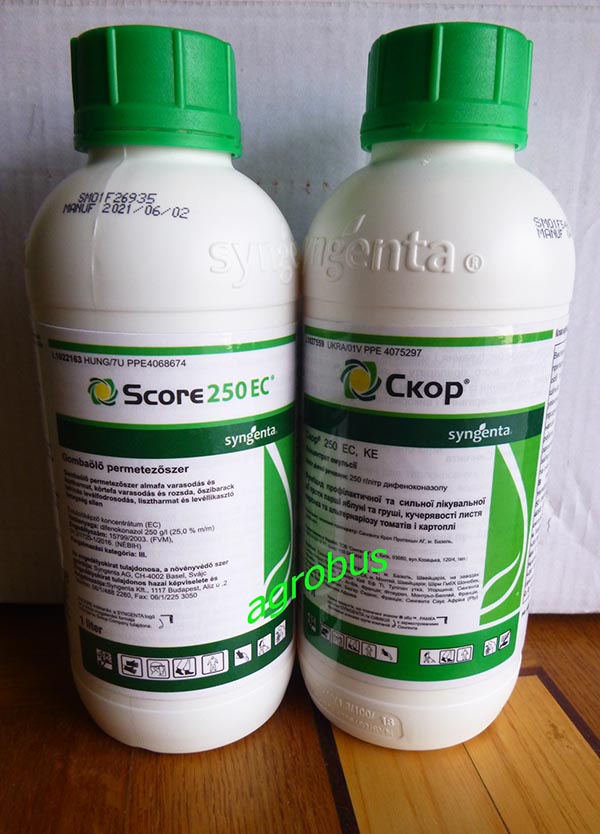 Скор Фунгицид