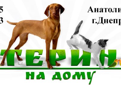 veterinar-na-domy_logo