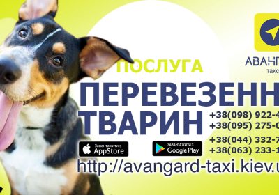 perevezennya-tvaryn