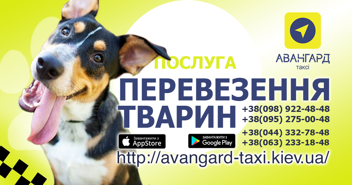 перевезення домашніх тваринок