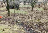 Мальовнича ділянка 46 соток у Щербанівці