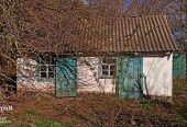 Дом в селе Острая Могила.Газ,свет,вода заведены.