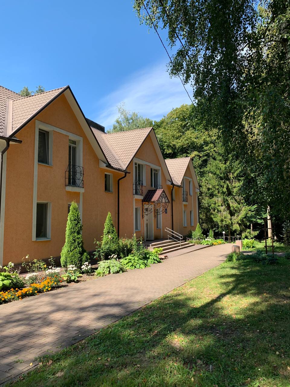 🌿 Відпочинок, який лікує!