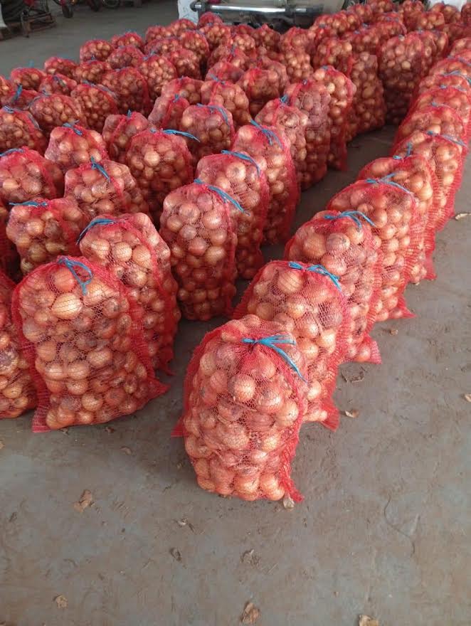 Свіжа цибуля власного врожаю