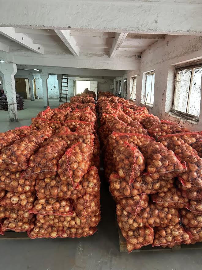 Свіжа цибуля власного врожаю