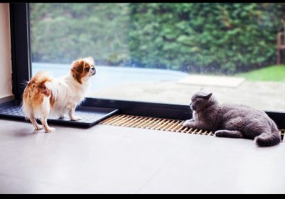 photo_1_2025-08-05_15-23-33