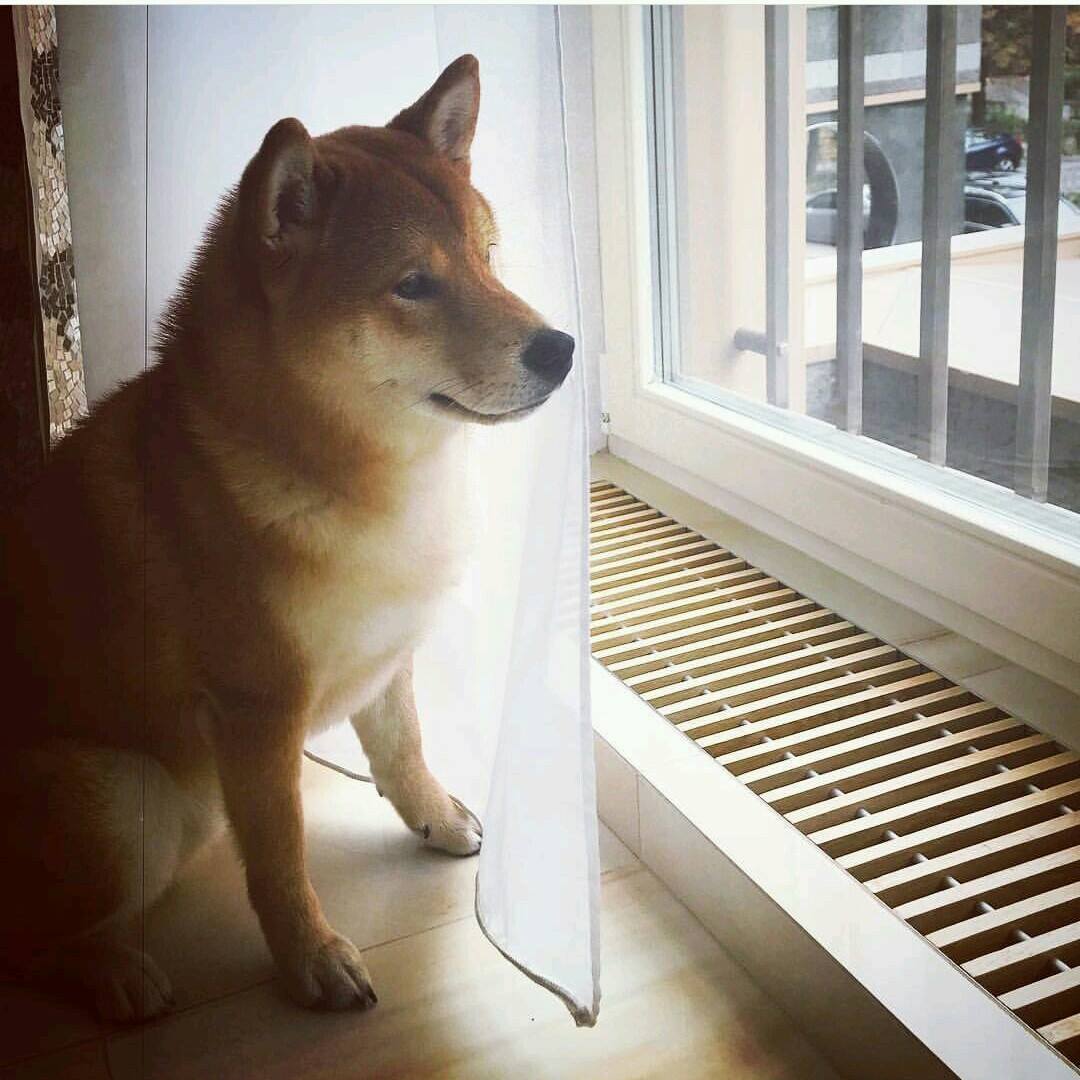 Внутрішньопідлогові конвектори FanCoil